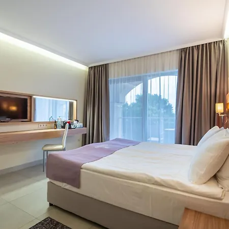 Belvedere 5*